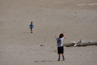 DSC_3015 (Large).JPG